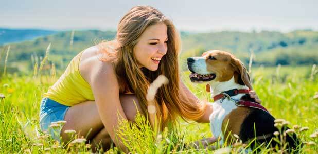 Veterinarian Wellness Plans